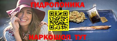 прущие крисы Будённовск